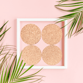 Cork Coasters(Pack of 4)